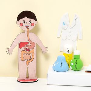 [민화샵] 음식물 소화기관 인체모형 어린이 수업자료 교구 만들기
