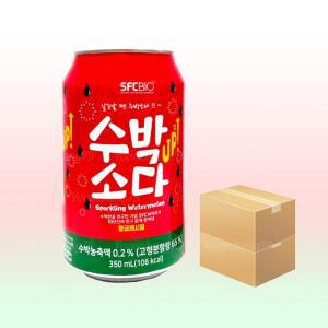 SFC바이오 수박소다 업 350ML x 48캔