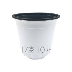 모두다 국내생산 플라스틱화분 플분 모종화분 이색포트 17호 백색 10개