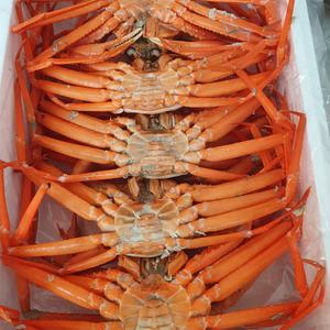 프리미엄 자숙 박달홍게 혼합 5kg 에스더블유몰