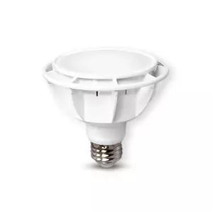 비츠온 LED PAR30 15W 확산형 화이트 6500K, 주광색, 1개