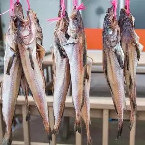 명태 반건조 코다리 3미 1.4kg23836897588324