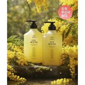 LUVSCENT 스크럽 워시 500ML 리틀 포레스트 미모사향 2입 구성 2122816