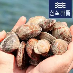 거제도 생물 물바지락1kg