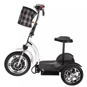 프리미엄 어르신 전동차 삼륜 스쿠터 전기 노인 오토바이