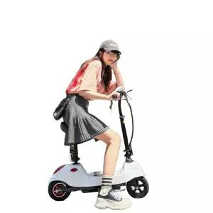 전동 킥보드 전동킥보드 좌식 세그웨이 스쿠터 배달용 킥스탠드 성인