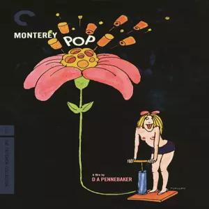 몬터레이 팝 (더 크리테리온 컬렉션) [DVD]