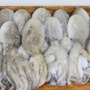 2kg 냉동 제철 쭈꾸미