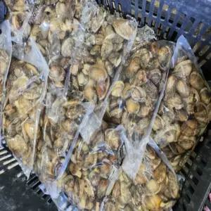 해수포장 제철 남해바지락 1kg 대물 왕 바지락살 요리 탕