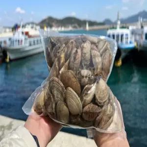 해수포장 제철 남해바지락 1kg 대물 왕 바지락살 요리 탕 캠핑요리