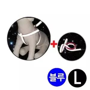 [반려] 블루 가슴줄 강아지 3M리플렉스 L 반사 세트 X밴드