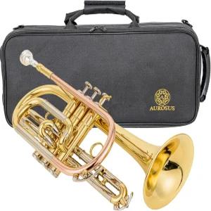 초보자용 Ausus bb Cornet acr 8330 중급 선수용 스테인리스 스틸 밸브 ml 보어 골드 황동 리드파이프 20mm