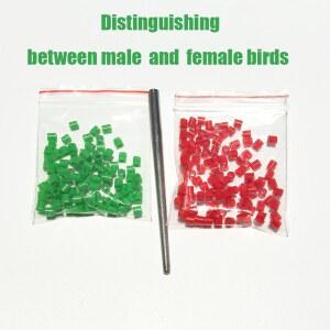 호환 앵무새, 핀치, 카나리아, 굴디안용 새 발찌 100개, 3mm 새 발찌 다리띠, 수컷과 암컷 새를 구별하기 위한