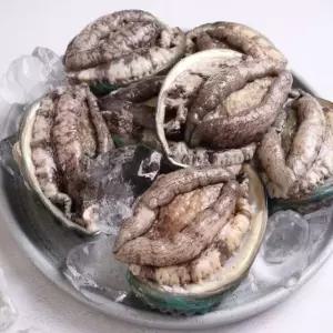 [맛잇다] 특허받은 진도 활전복 1kg (7-9미)