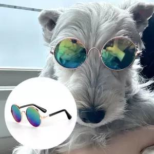 강아지 고양이 선글라스 레인보우