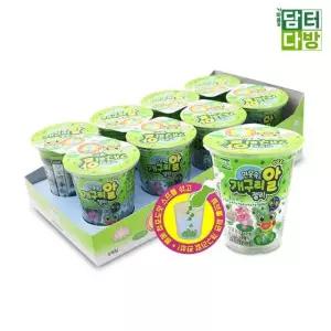 서주 연못속 개구리알 젤리 청포도맛 35g 8개입