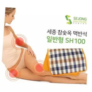 BN 세종 참숯옥 맥반석 찜질기 SH-100 일반형