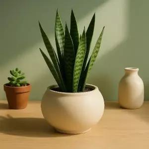 샌드화이트 볼형 토분 화분 특대 18x15cm 인테리어 데코 식물화분