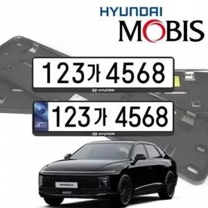 번호판 하이그드 현대모비스 그랜저가드 비천공번호판가드