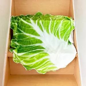 TBZ 배추담요 웃긴담요 특이한담요 블랭킷 선물