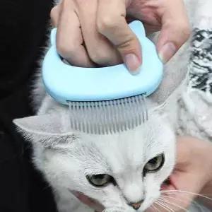 [RIZPICK]고양이 힐링 브러쉬 마사지 그루머 죽은털 제거(특가)
