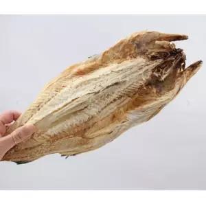 VB 통마리 먹태 10마리 7통 45-49cm 내외 먹태구이