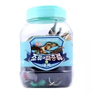[하프클럽/브이와이]모형 피규어 학습 새모형 교육용 인형 대