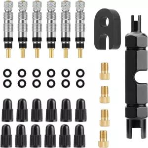 Oumers 자전거 36PCS 프레스타 밸브 세트 슈레이더 어댑터 2-in-1 코어 공구 휴대용 보관함