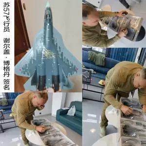 SU57 모형 합금 프라모델 완성품 MG RG 철창모형 점장모형