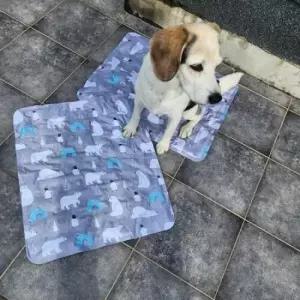 [반려] 강아지 아이스 쿨매트 쿨방석 얼음 패드