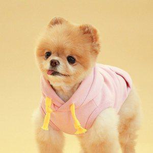 초코펫하우스 강아지옷 고고싱 베이직 후드티 (핑크) (XL)