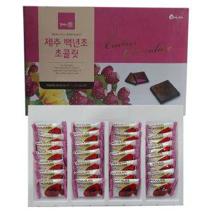 제주탐라초콜릿 대형(28개입)x2박스