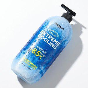 빙하수 멘톨 민트성분 함유 시원한 샤워 바디워시 865ml