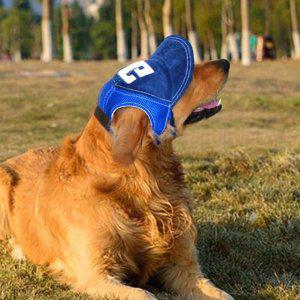 캡모자 블루 강아지모자 애견산책용 애견썬캡 댕댕이패션 산책용품