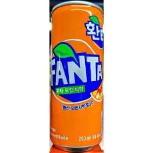 환타(코카콜라 250ml 오렌지 30개)