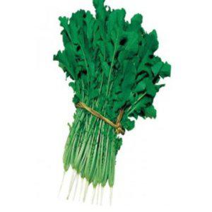 열무 씨앗 야채 채소 종자 품종 진보리 20g 쌈채소모종