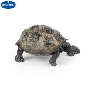 거북이 모형 파츙류 모모스 바다동물 파충류 수집품 매니아 여름방학 유아 교구 어린이 선물 모형 완구