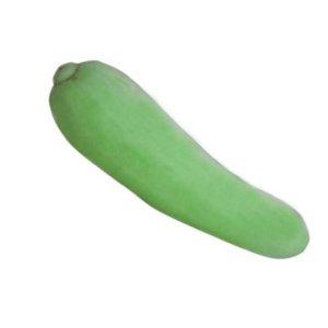 참외씨 오이 과일씨앗 텃밭 작물 모종 여름꽃씨앗