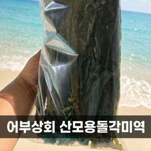 완도출생 산모용미역 꼭지미역 돌미역
