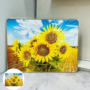 캔버스액자 거실 사진인화 포스터 팝아트 화분 아트 유화 그림 액자 30x40 해바라기