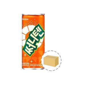써니텐 오렌지향 250ml (30캔)