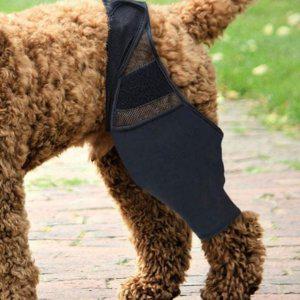 슬개골 강아지 보호대 통깁스 강아지 고관절 반려견 의료