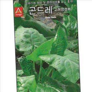 재배용 고려 엉겅퀴 씨앗 약용 곤드레 씨앗 농업용 텃밭 종자