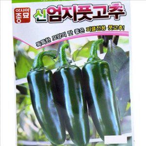 다수확 신엄지 풋고추 씨앗 농부 신엄지 풋고추 종자 텃밭 매운