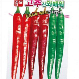 청양고추 고추 씨앗 아시아종묘 매운 고추 씨앗 홍고추 풋고추 종자