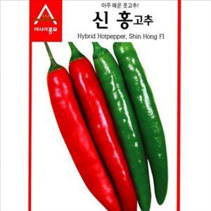 청양고추 고추 씨앗 신홍매운 매운 고추 씨앗 종자 텃밭 다수확