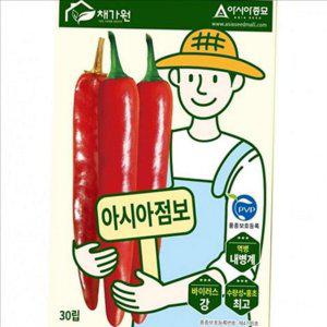 다수확 고추 씨앗 강한 고추 모종 텃밭 농업용 종자 30립