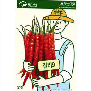 다수확 고추 씨앗 30 립 매운 칠리 9 고추 씨앗