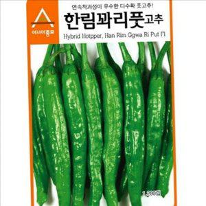 농업용 고추 씨앗 꽈리 풋고추 씨앗 다수확 텃밭 재배 세트