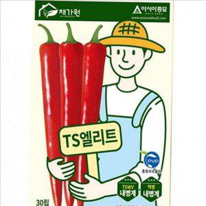 강한 고추씨 씨앗 30 립 역병 ts 엘리트 청양고추 농업용